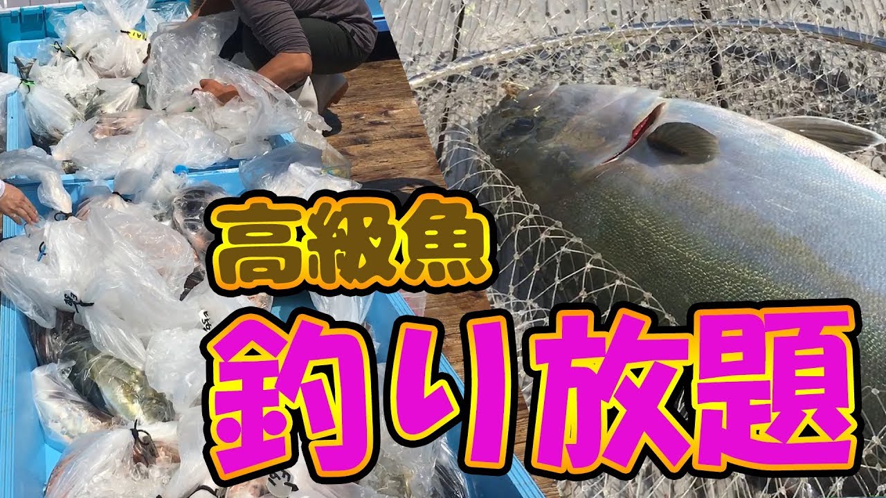 動画：高級魚釣り放題 釣っちゃ王 大分蒲江の海上釣堀 受付とタックル編 マダイ ヒラメ シマアジ 石鯛 ブリ カンパチ ヒラマサ マハタ  釣りガールも安心の釣り堀 | 釣り場.com